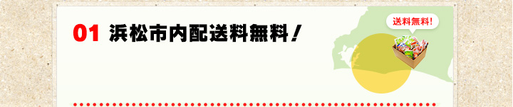 01 浜松市内配送料無料!